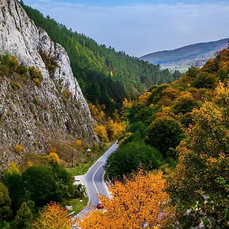 Studiouri Vălişoara