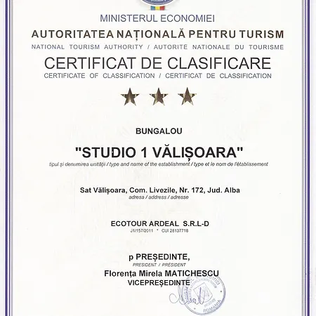 Studiouri * Vălişoara