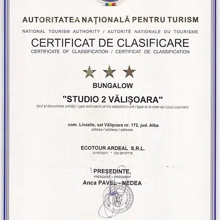 Studiouri Vălişoara