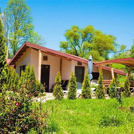 Apartmán Studiouri Vălişoara