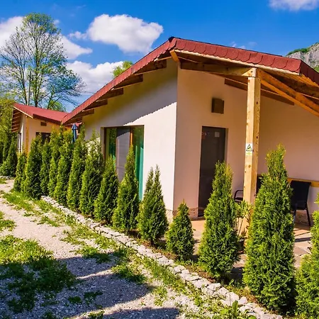 Studiouri * Vălişoara