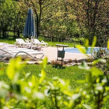 Studiouri Vălişoara